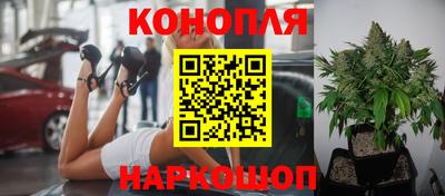 герыч Брянск