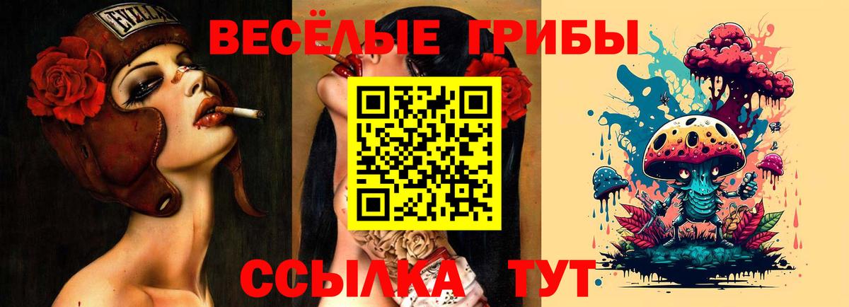 купить   Вход с VPN  Светлоград  Галлюциногенные грибы Psilocybine cubensis 